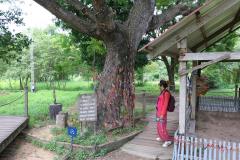 Killing-Fields_web