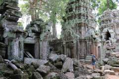 Ta-Prohm-3_web